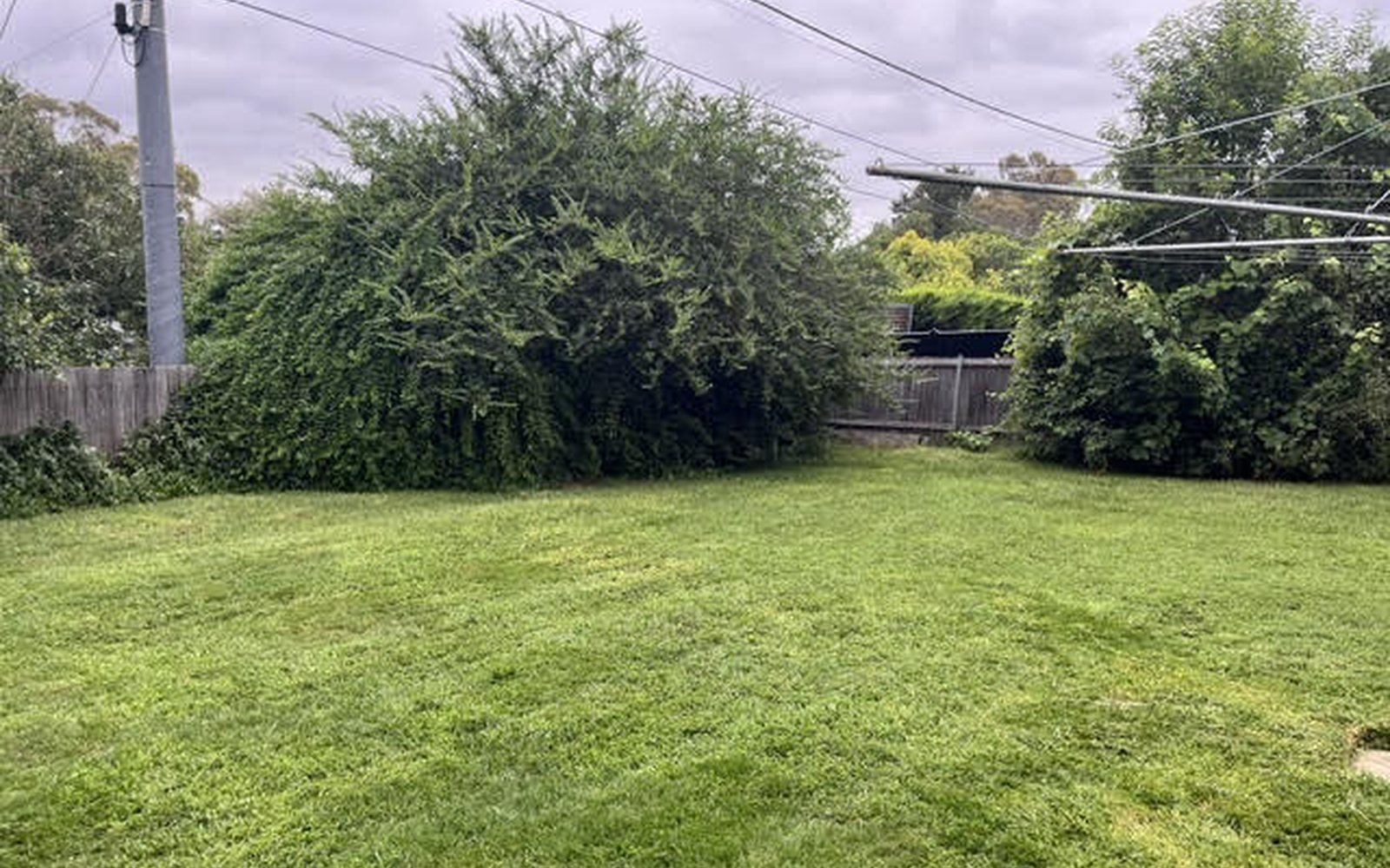 A freshly mowed, striped Canberra lawn
