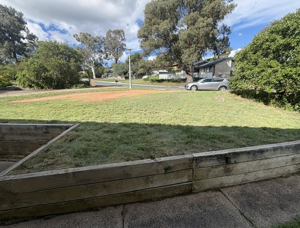 Freshly mowed striped lawn