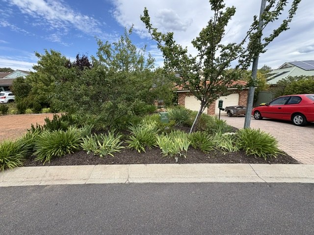 Native front garden bed planted out with lomandra and mulched.