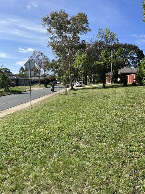 Front nature strip mowed and edged clean.