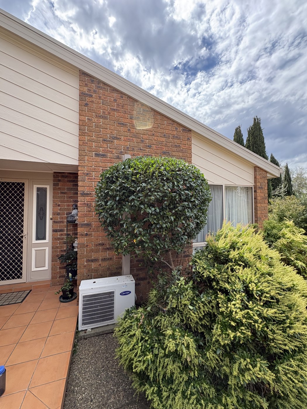 Feature topiary ball shaped and tidied by the front entrance.